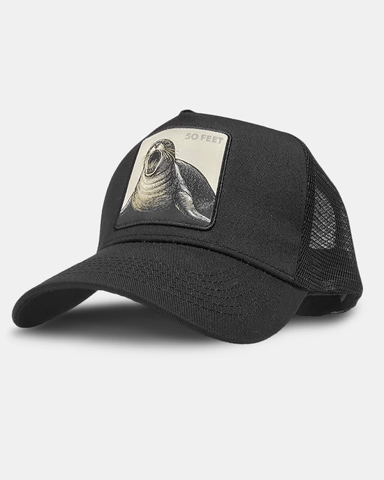 50 FEET A-Frame Trucker