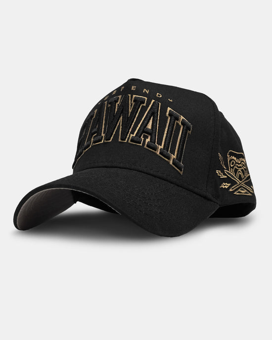 HAWAII BANG A-Frame Snapback