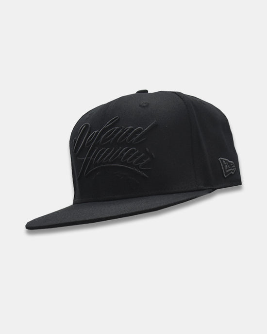 WILDSTYLE LOGO All Black Snapback